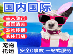 百色机场托运国际宠物托运 【国